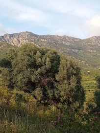 Blick von der Terrasse.