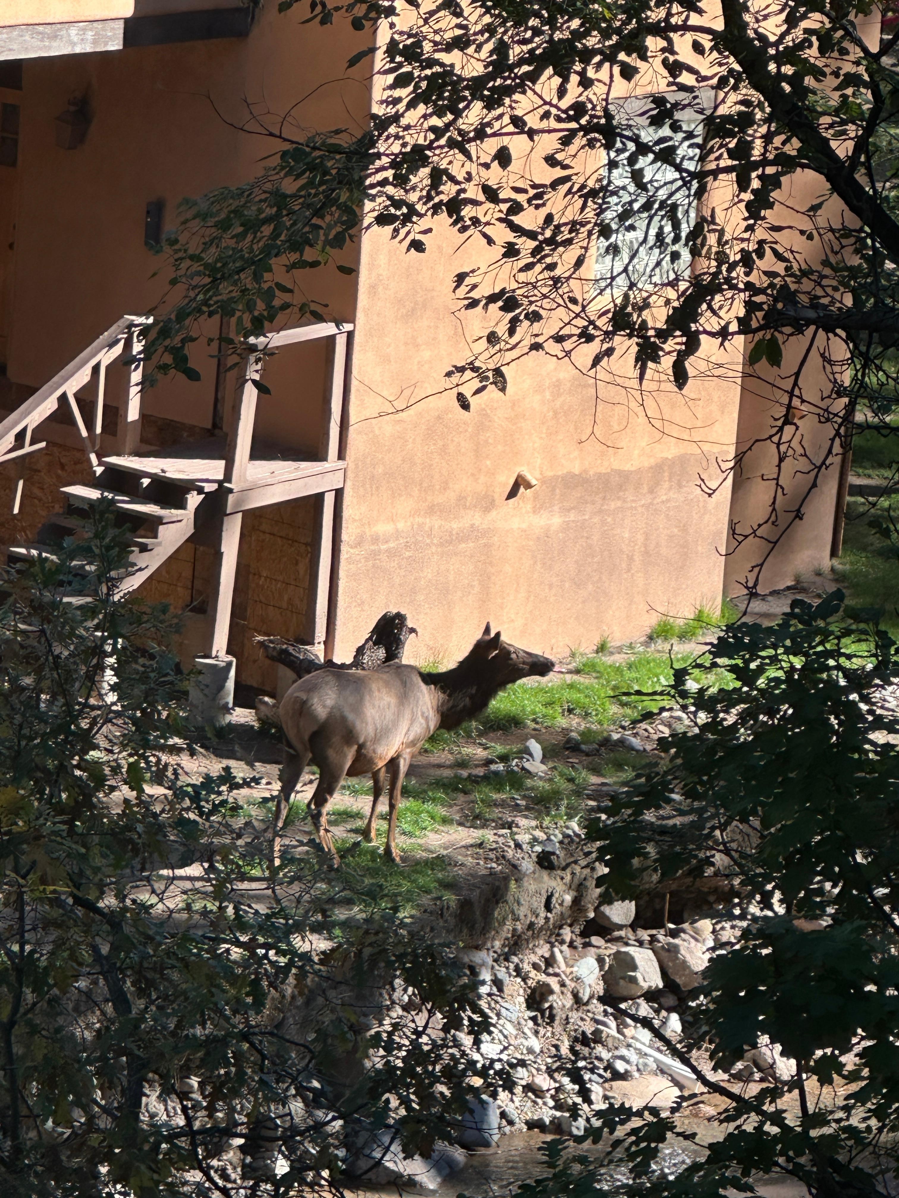 Across the river taken from balcony 