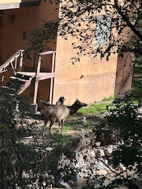 Across the river taken from balcony