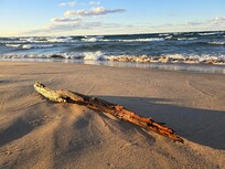 Sunset at the beach