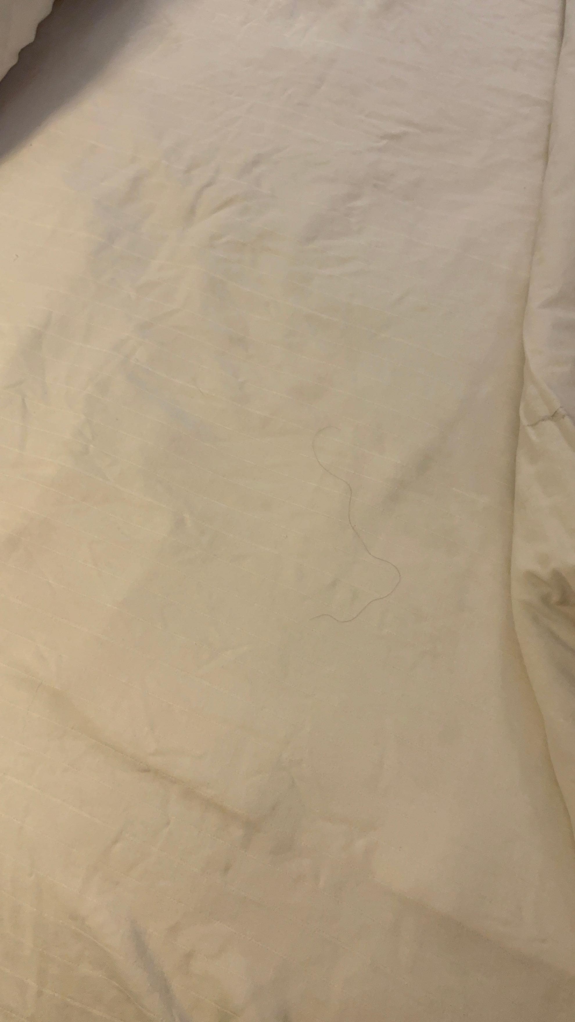 Whose hair?? Not mine 