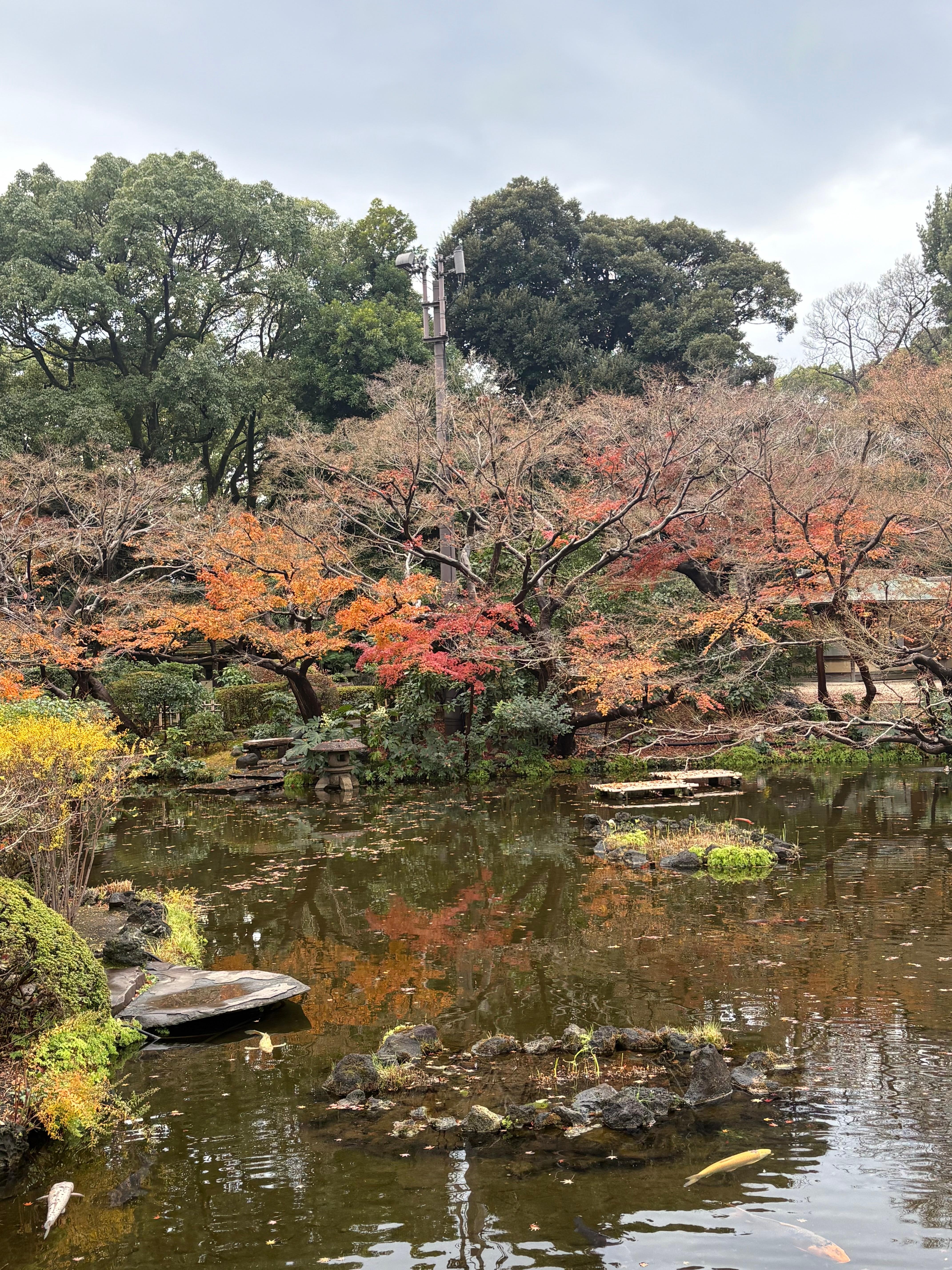 Beautiful garden on property still had some fall color in late December
