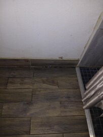 Rotted floor