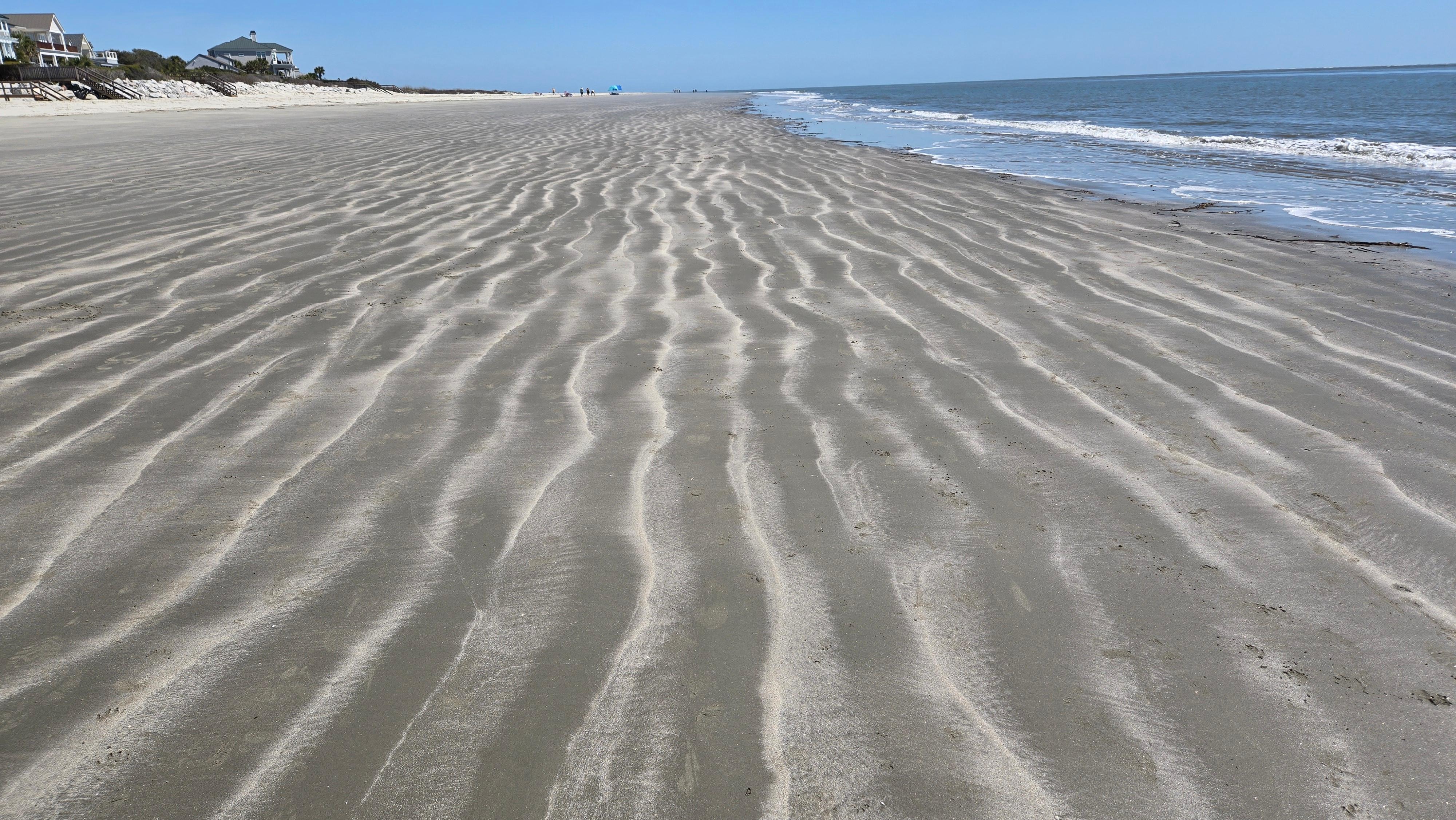Mother nature's daily beach decorations 
