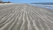 Mother nature's daily beach decorations
