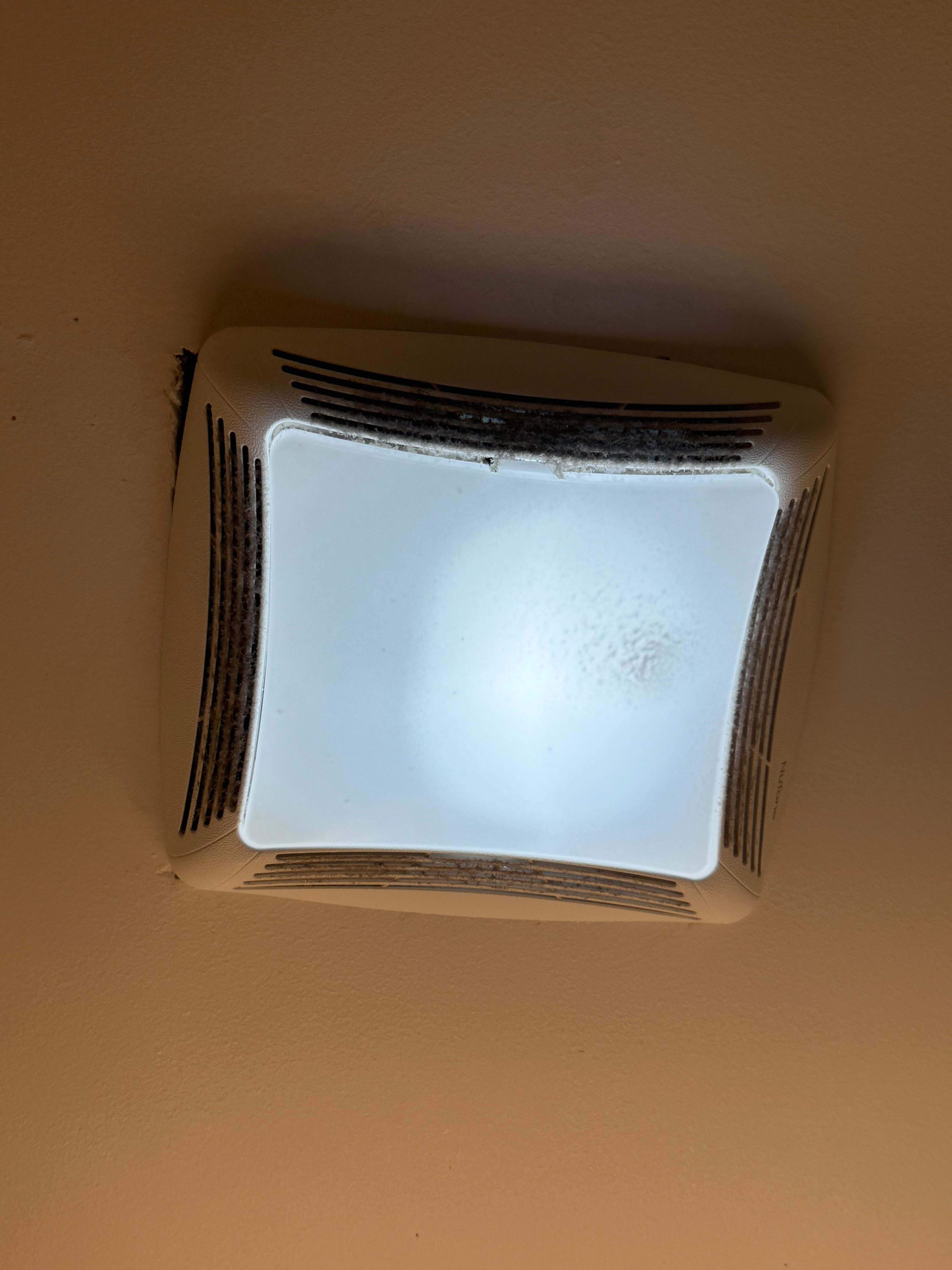 Dirty water shower water. 