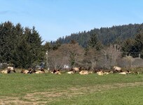 On the drive to the Elk valley Casino