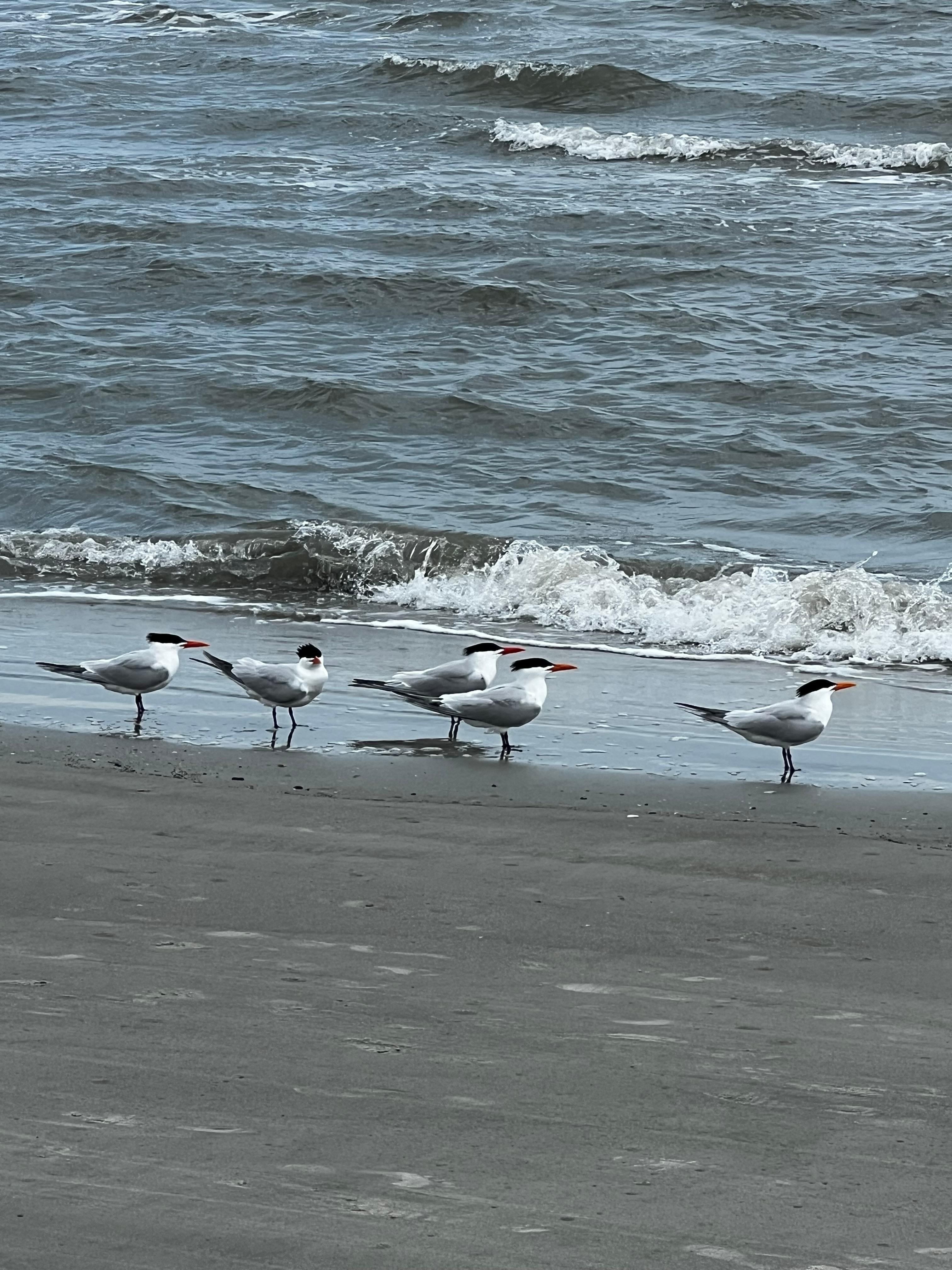 Crowded beach