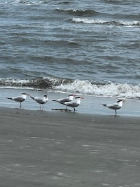 Crowded beach