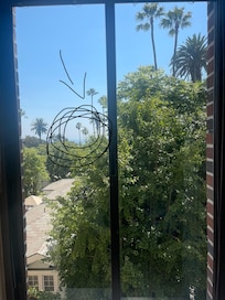 This was my Ocean View as pointed out by staff.