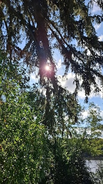 Morgensonne