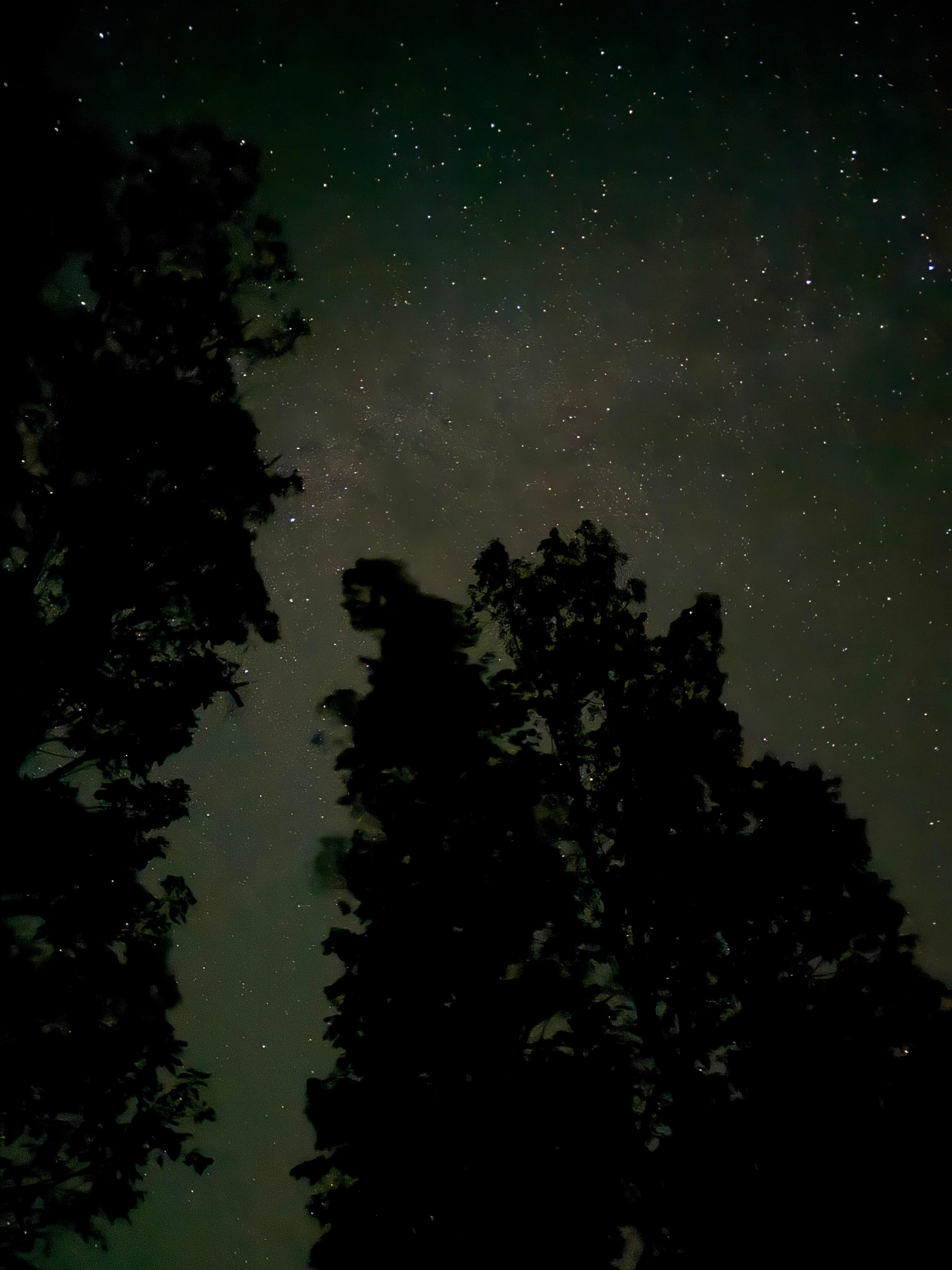 This was our view from the top deck at 10pm. If you enjoy star gazing… wow!!