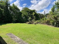 Side and backyard- lots of birds and geckos!!