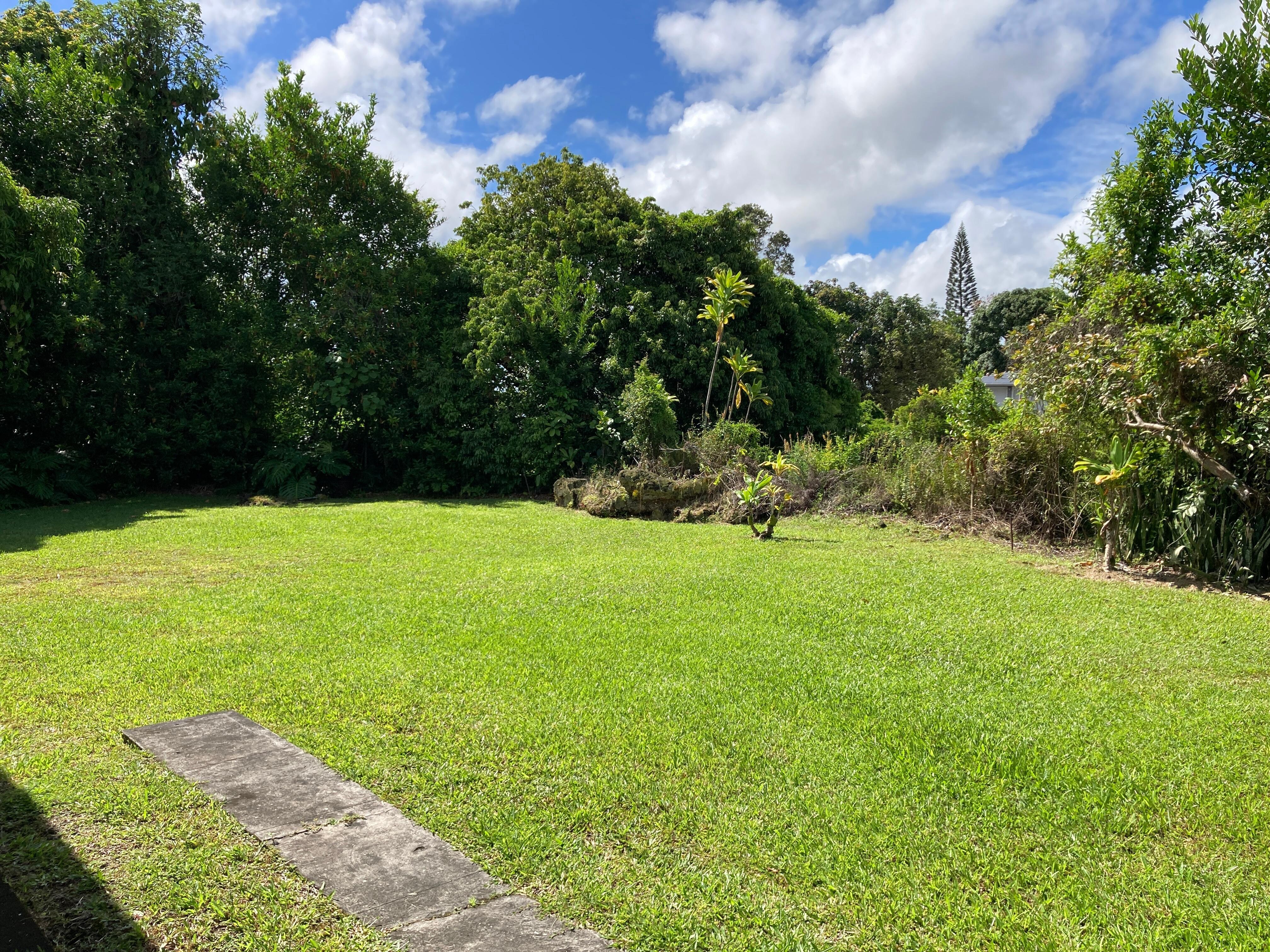 Side and backyard- lots of birds and geckos!!