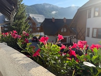 From our room