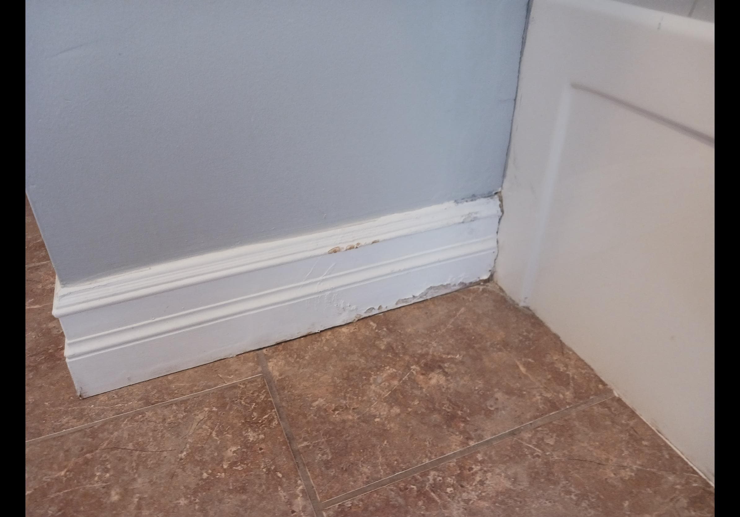 Rotting baseboard in the bathroom