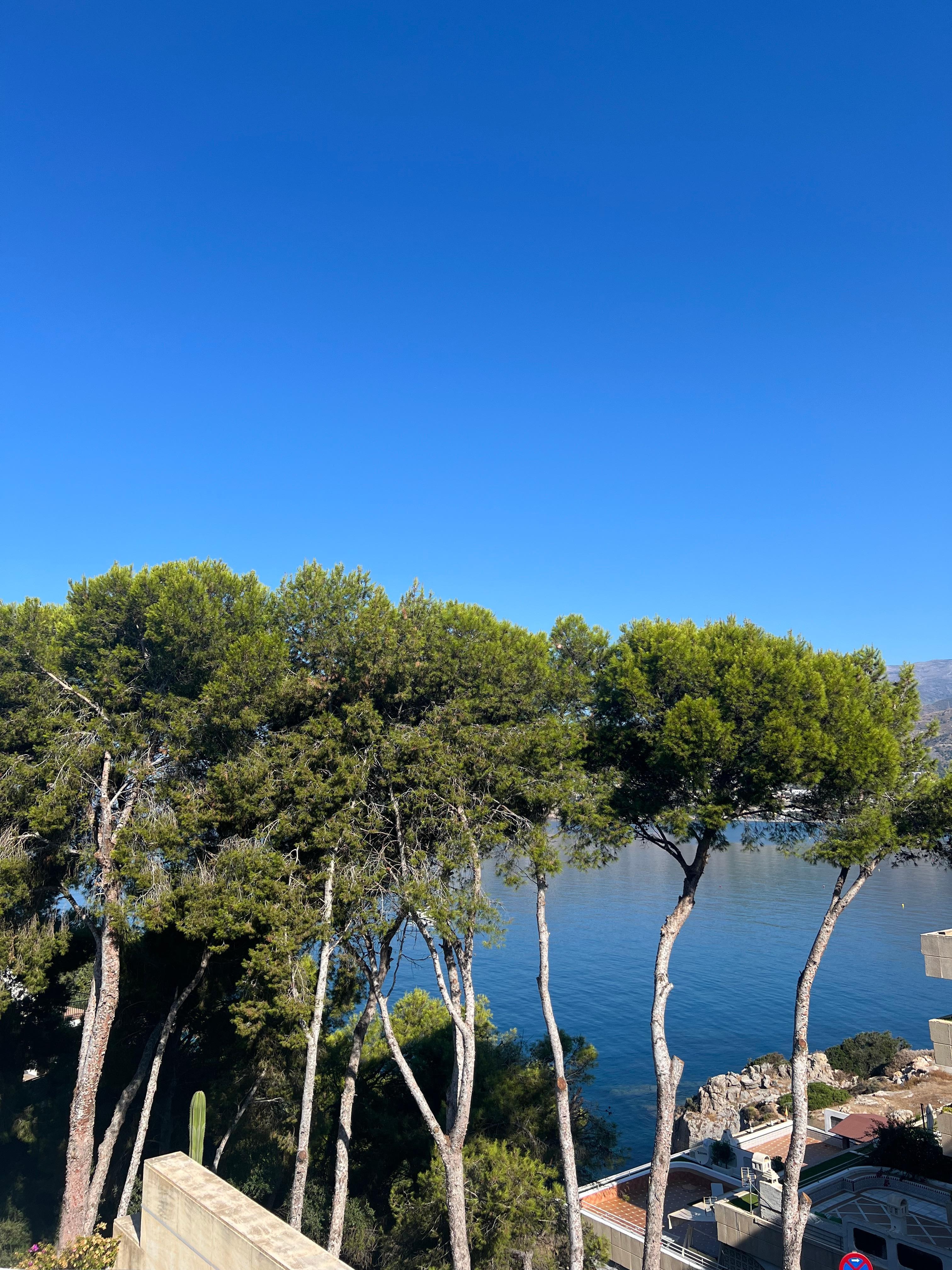 View from the balcony