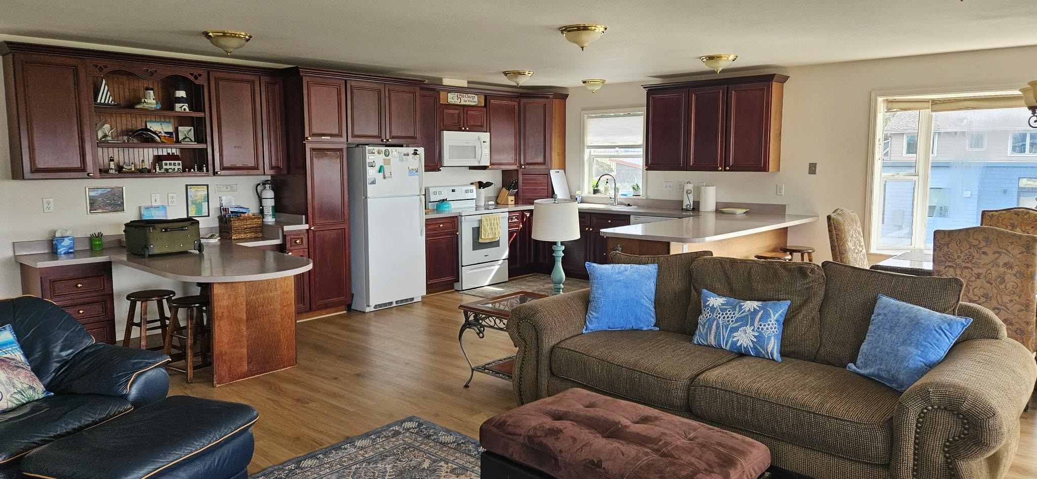 Living room and kitchen