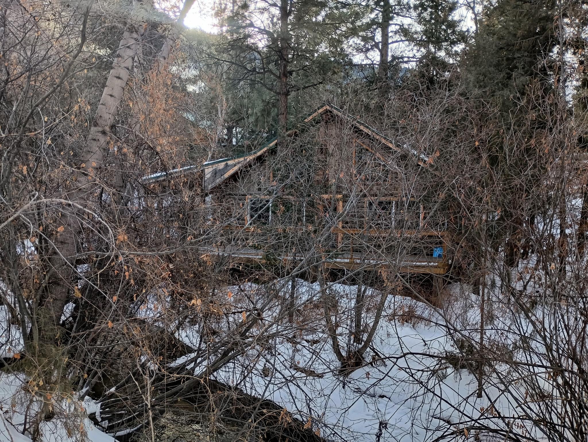 Lots of brush blocking the house. But we got another angle.