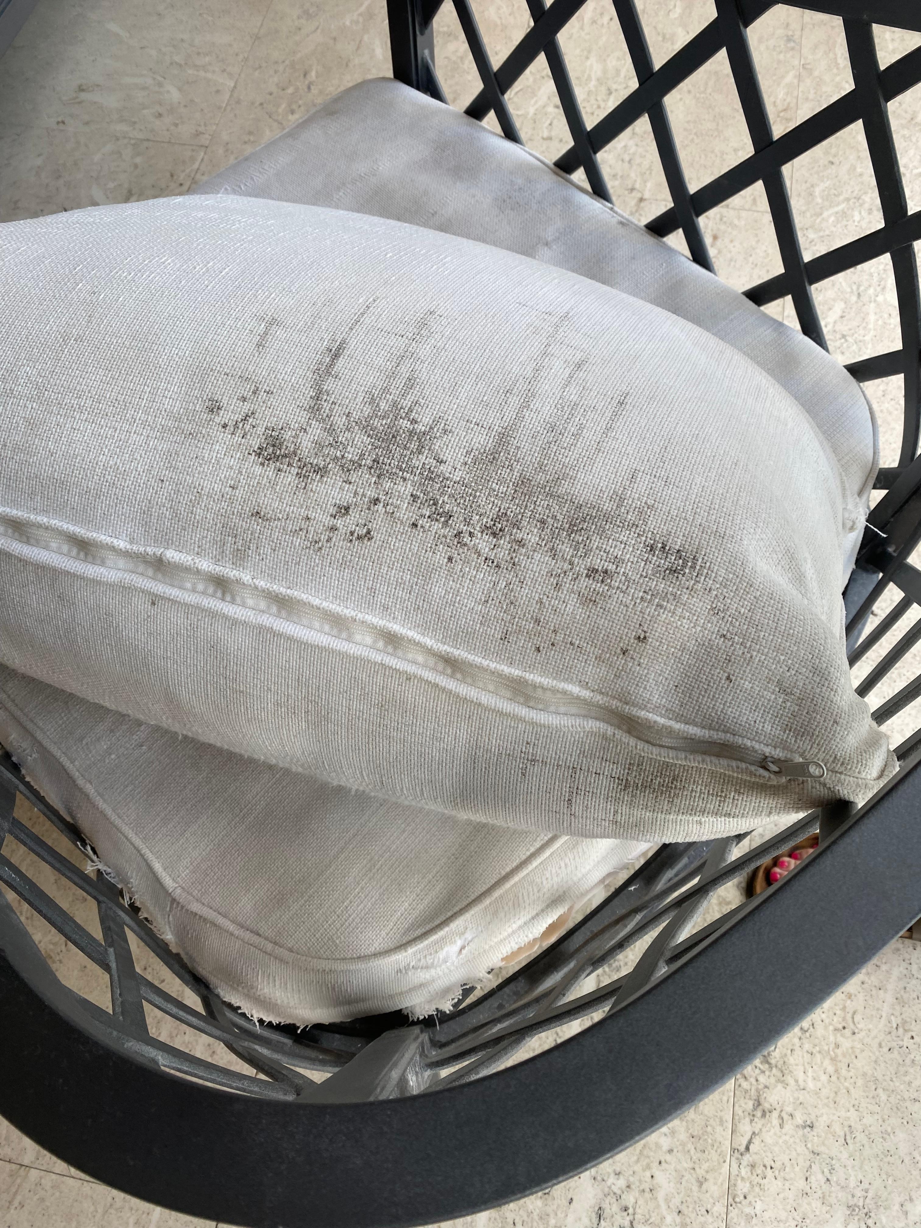 Dirty and torn chair cushions
