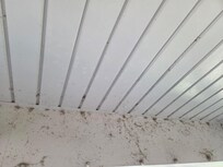 Filthy porch