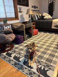 Cute furnishings and Dog friendly