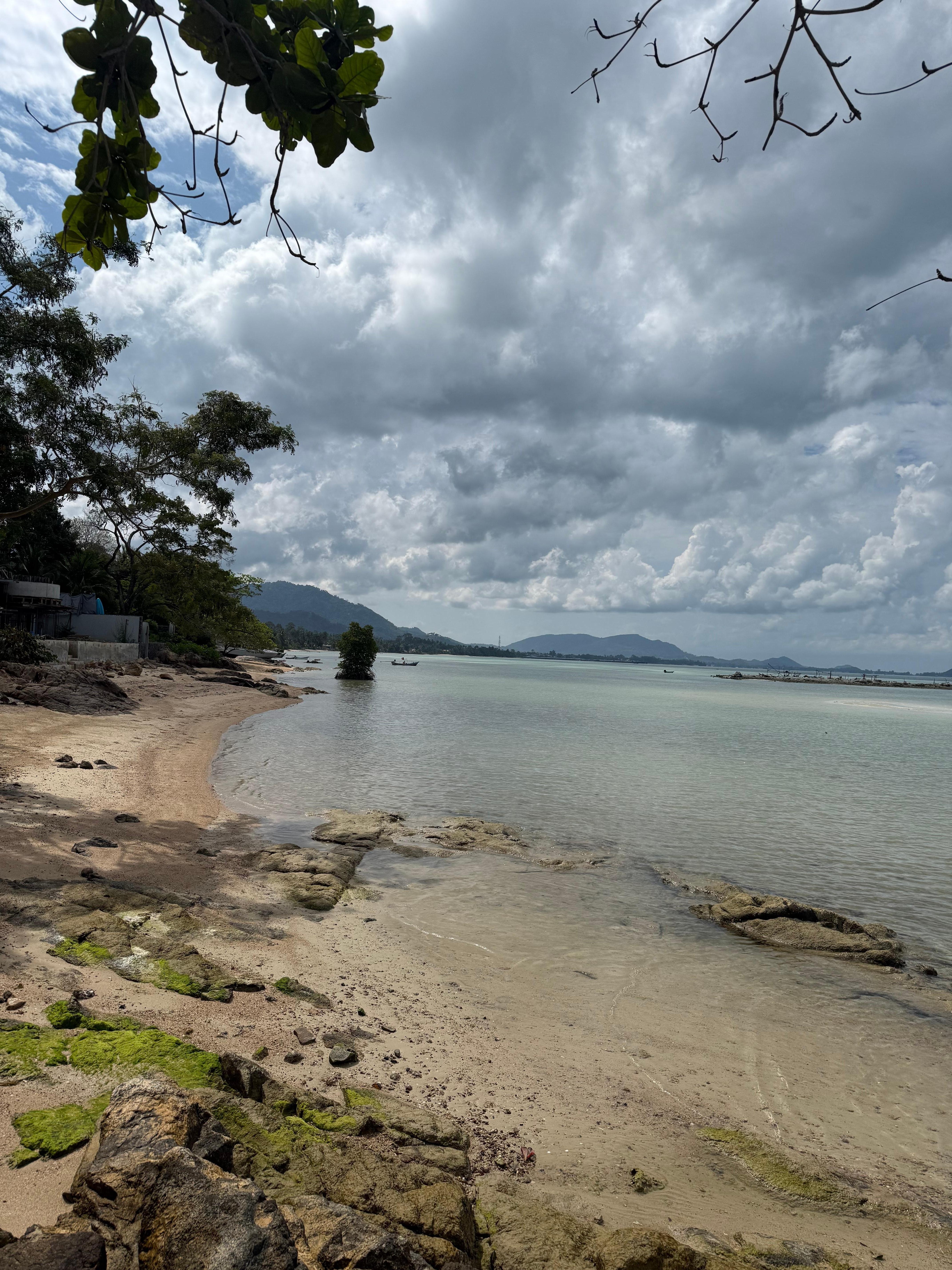 Strand hat ebbe und schiffsleichen