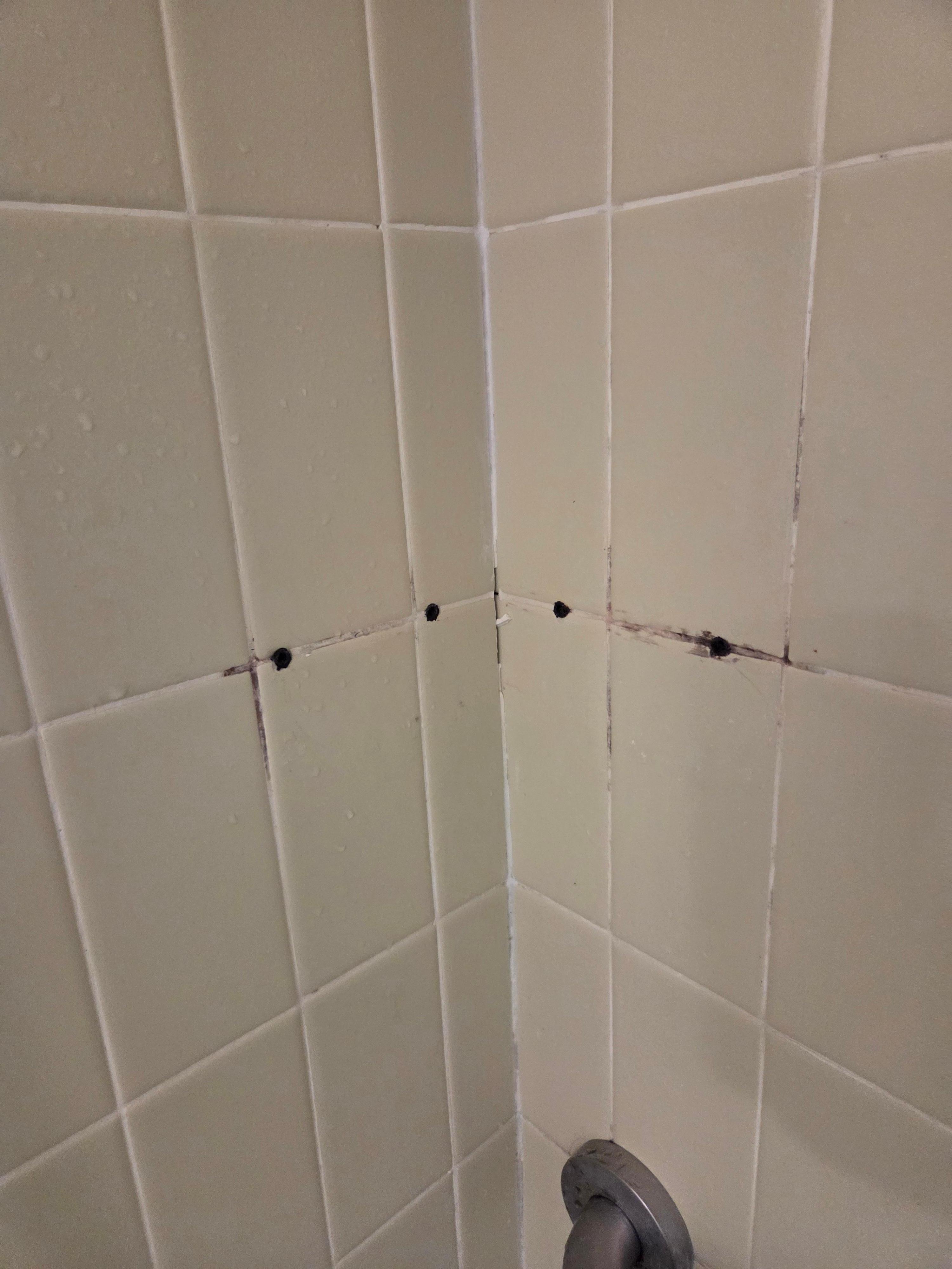 Missing or unfixed area