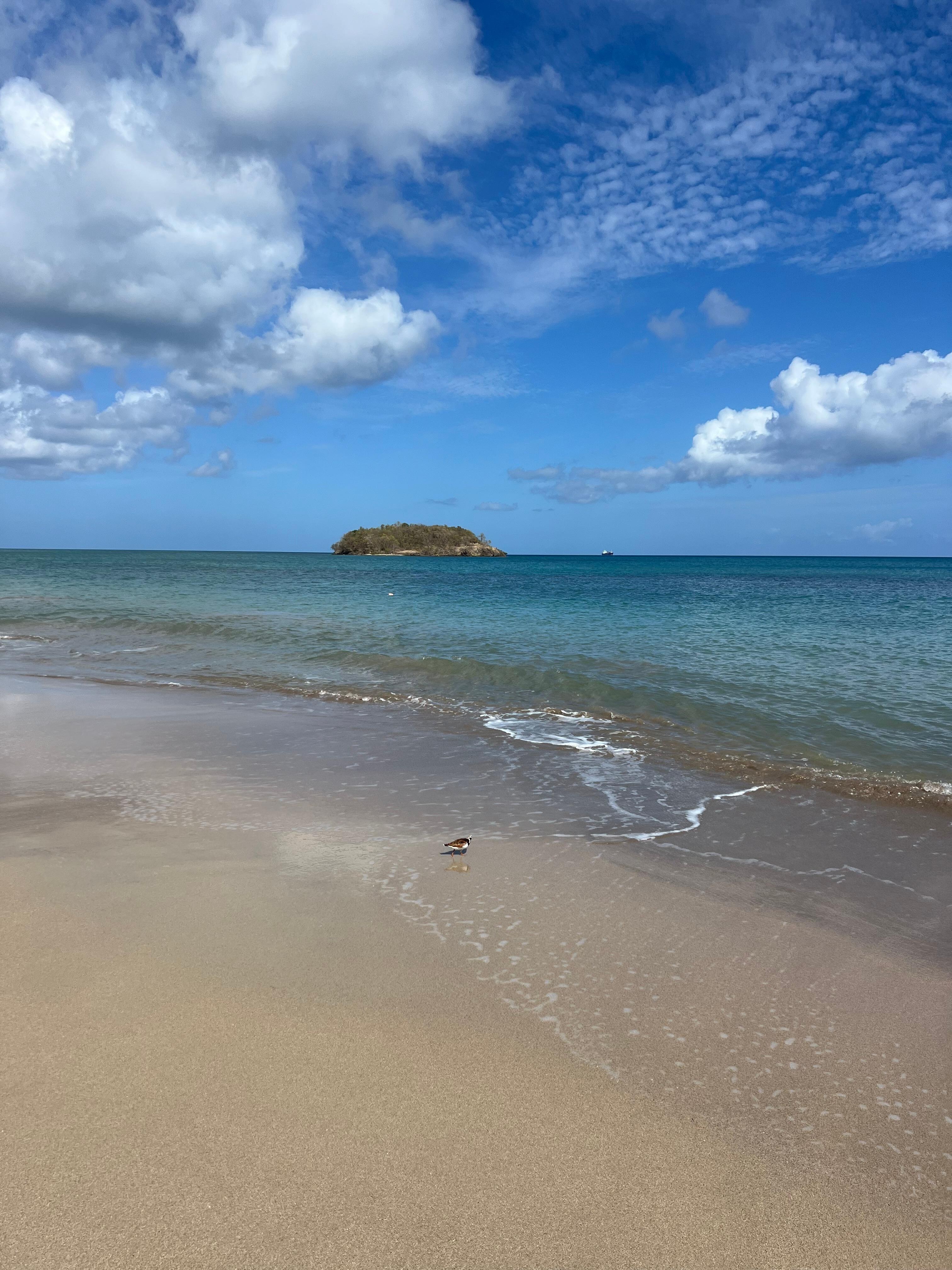 Beach at property 
