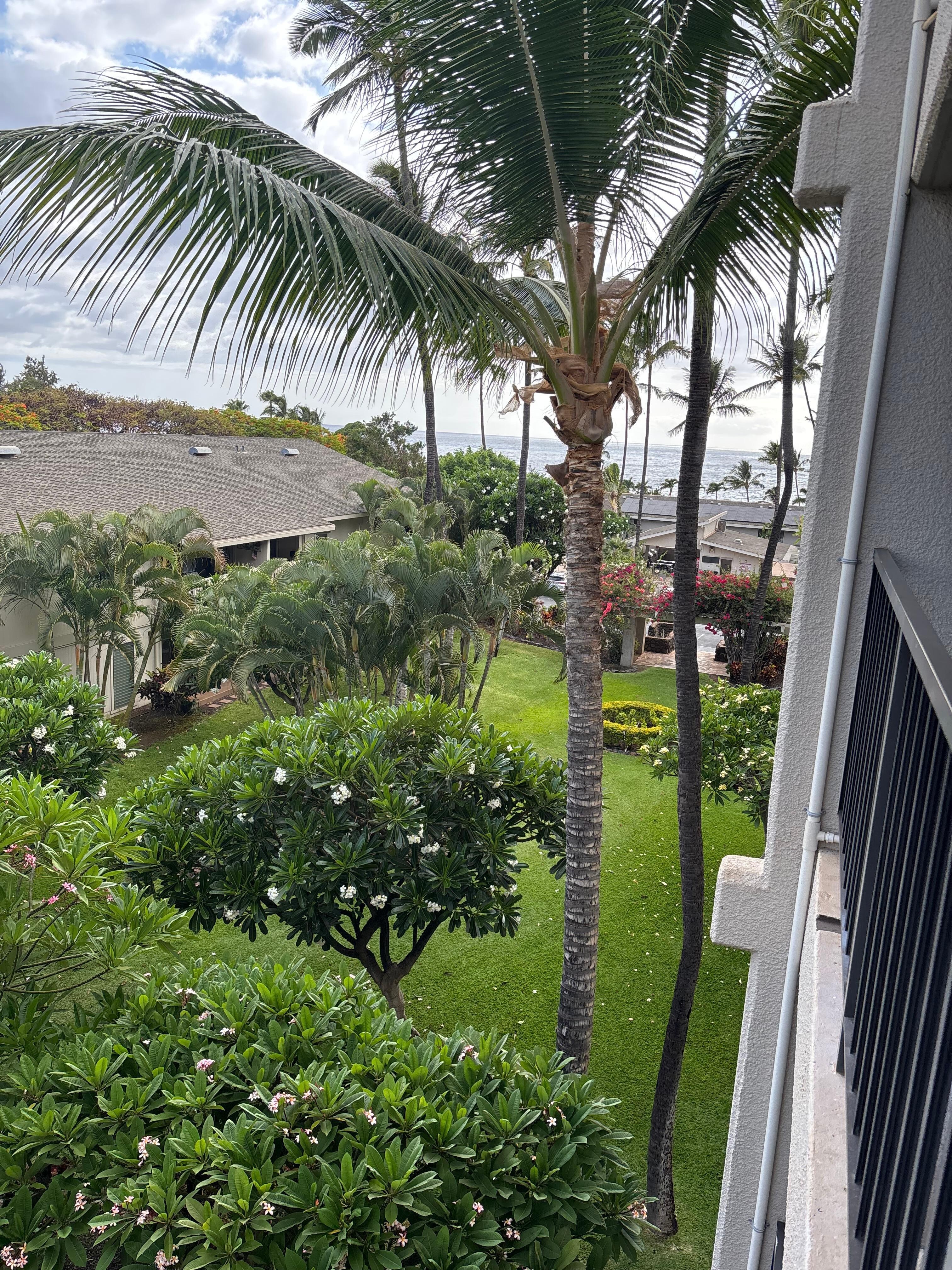 Ocean view
