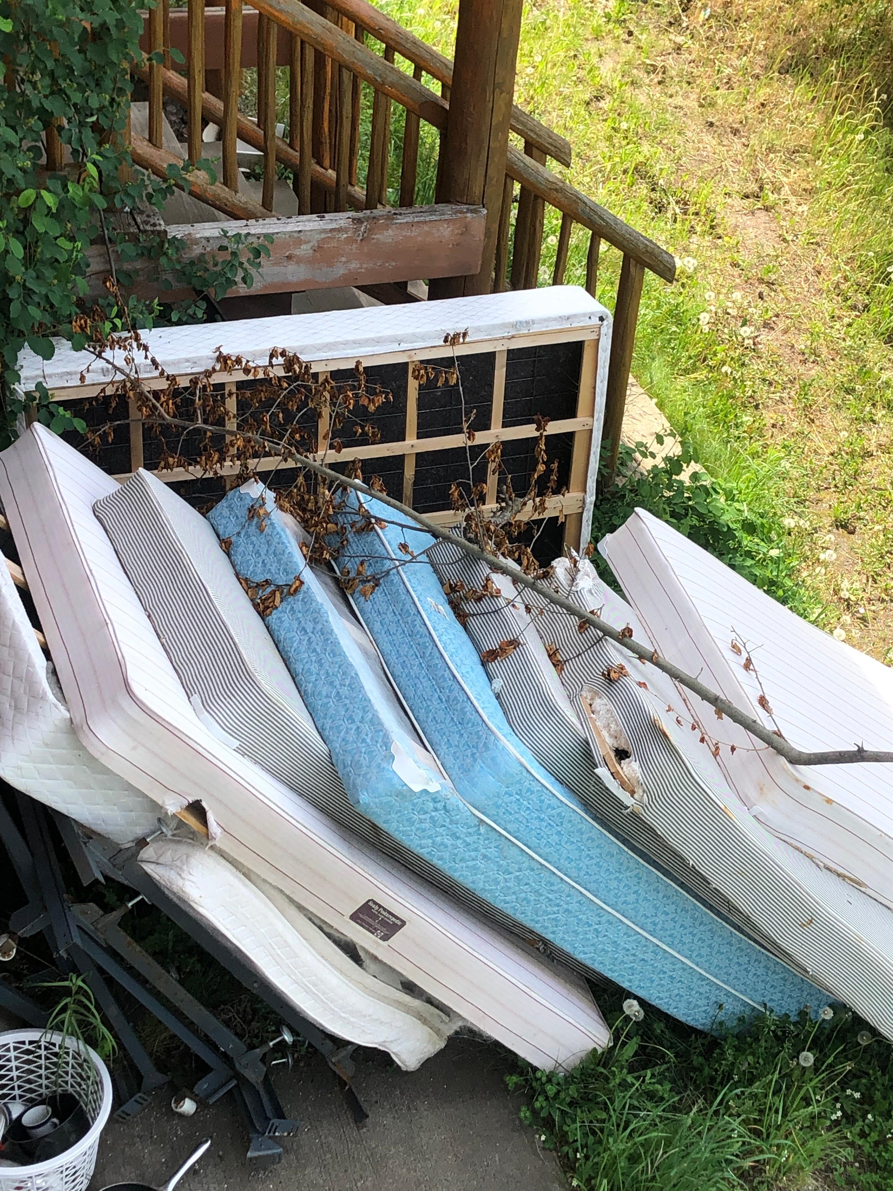 Discarded mattresses everywhere 