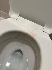 Used toilet