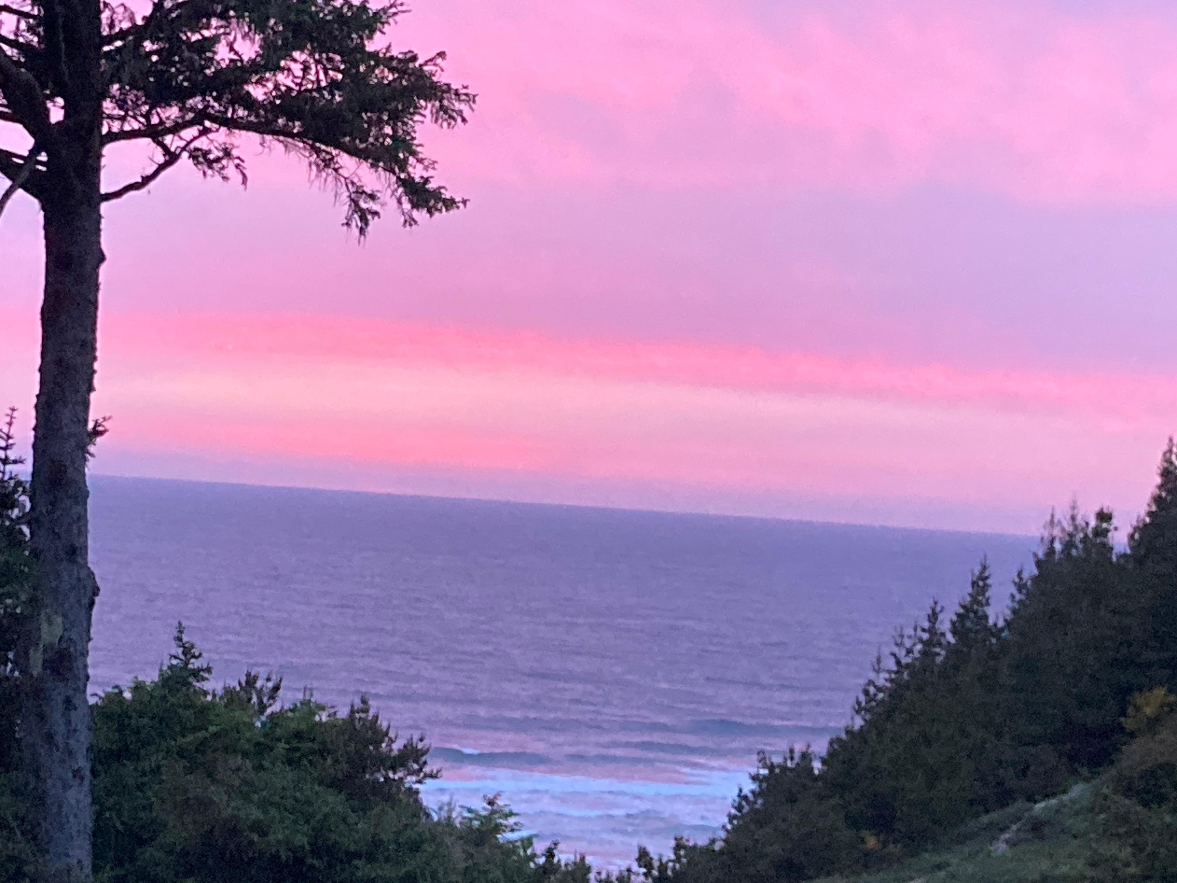 The view from Brian’s place