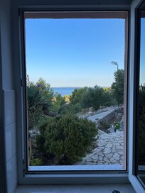 Blick aus dem Küchenfenster
