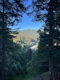 View from the back porch.