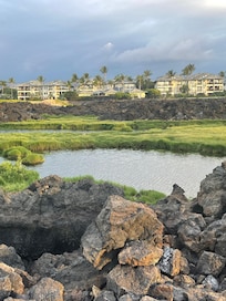 Walk to nearby beach for sunset.