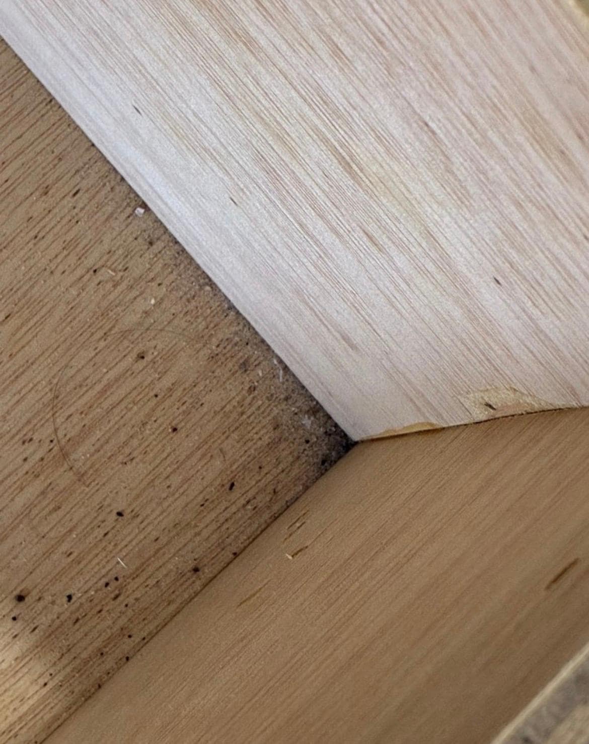 Nasty lint and who knows what else 