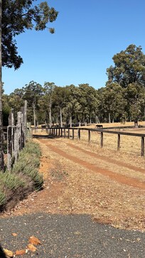 Track between property and paddock