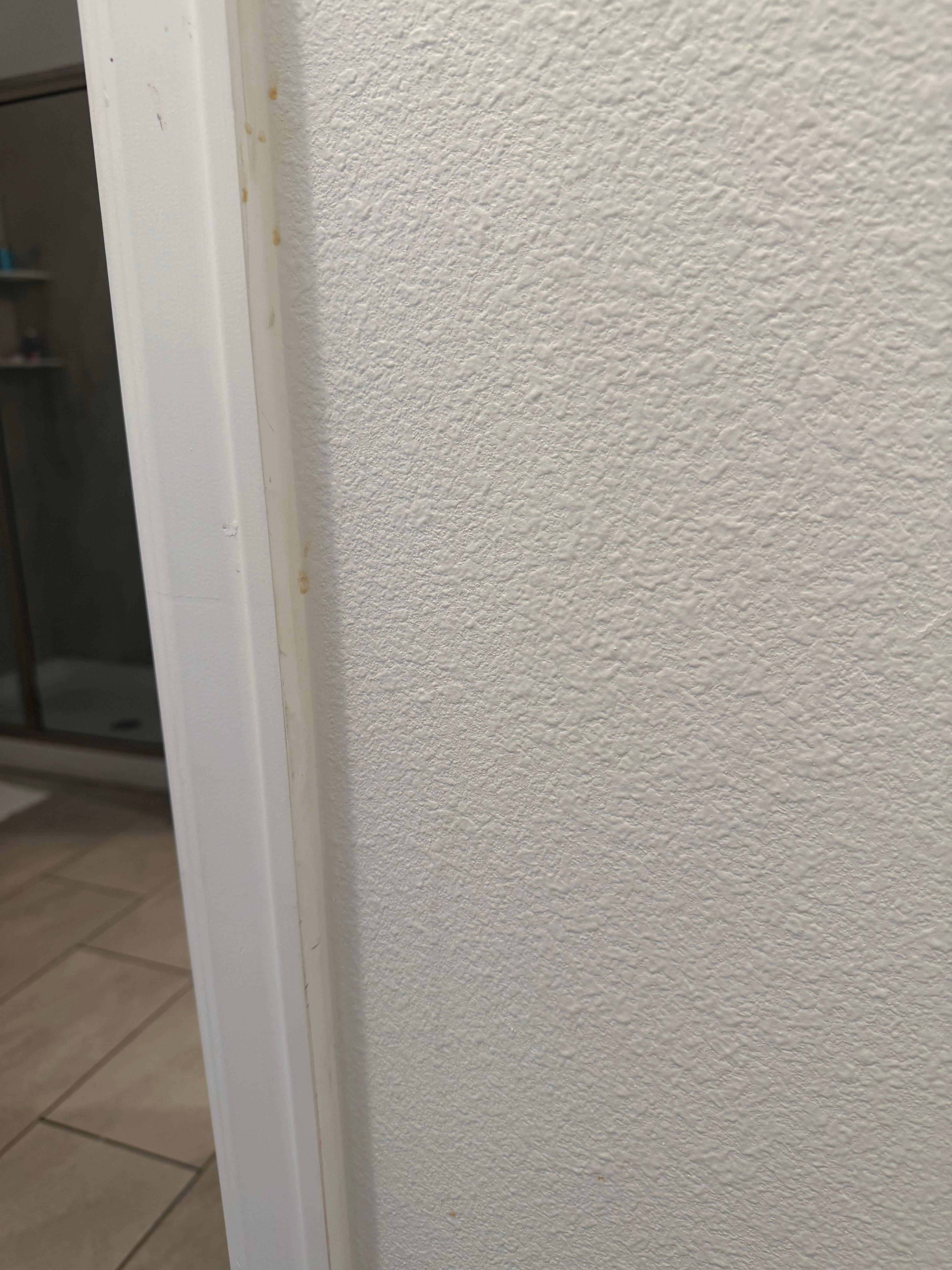 Food and dirt on the walls