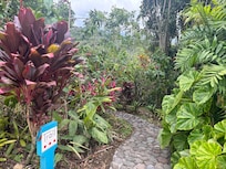 Trail