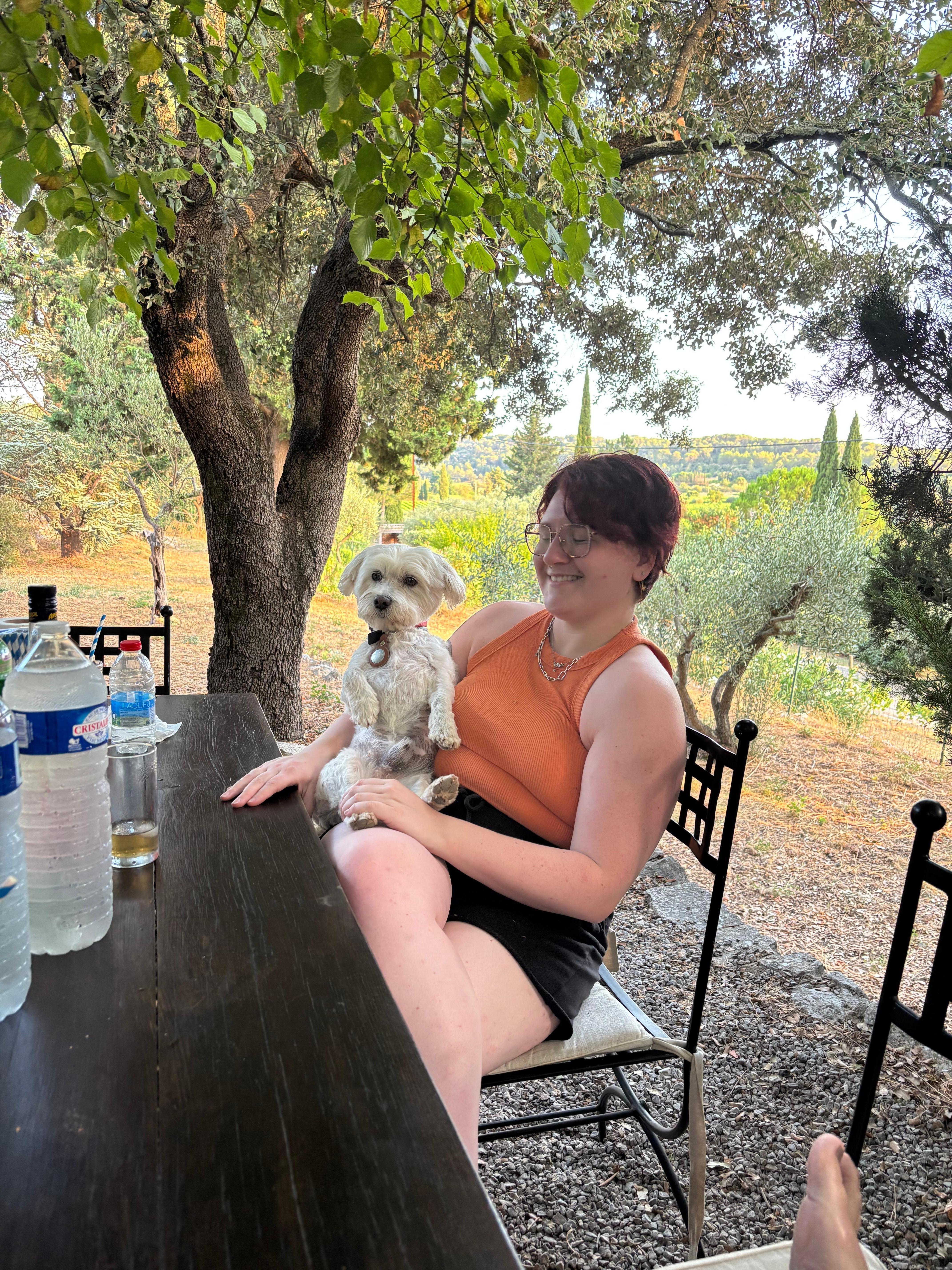 Grande table à l'ombre devant la Bastide 
