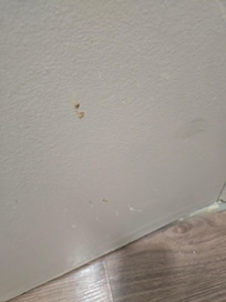 Dried snot all over bathroom door