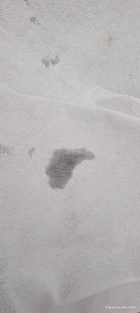 Toalhas puídas e rasgadas.