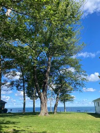 View from back deck