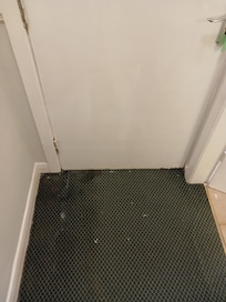 Paint on floor everywhere