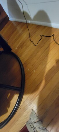 Bugs, dirt all over the floor in the common room