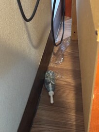 This was found behind the television when trying to plug in phone charger.
