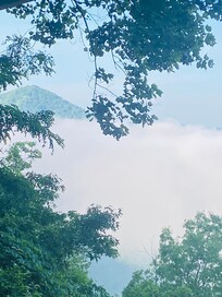 Foggy morning