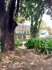 Place is walkable and safe