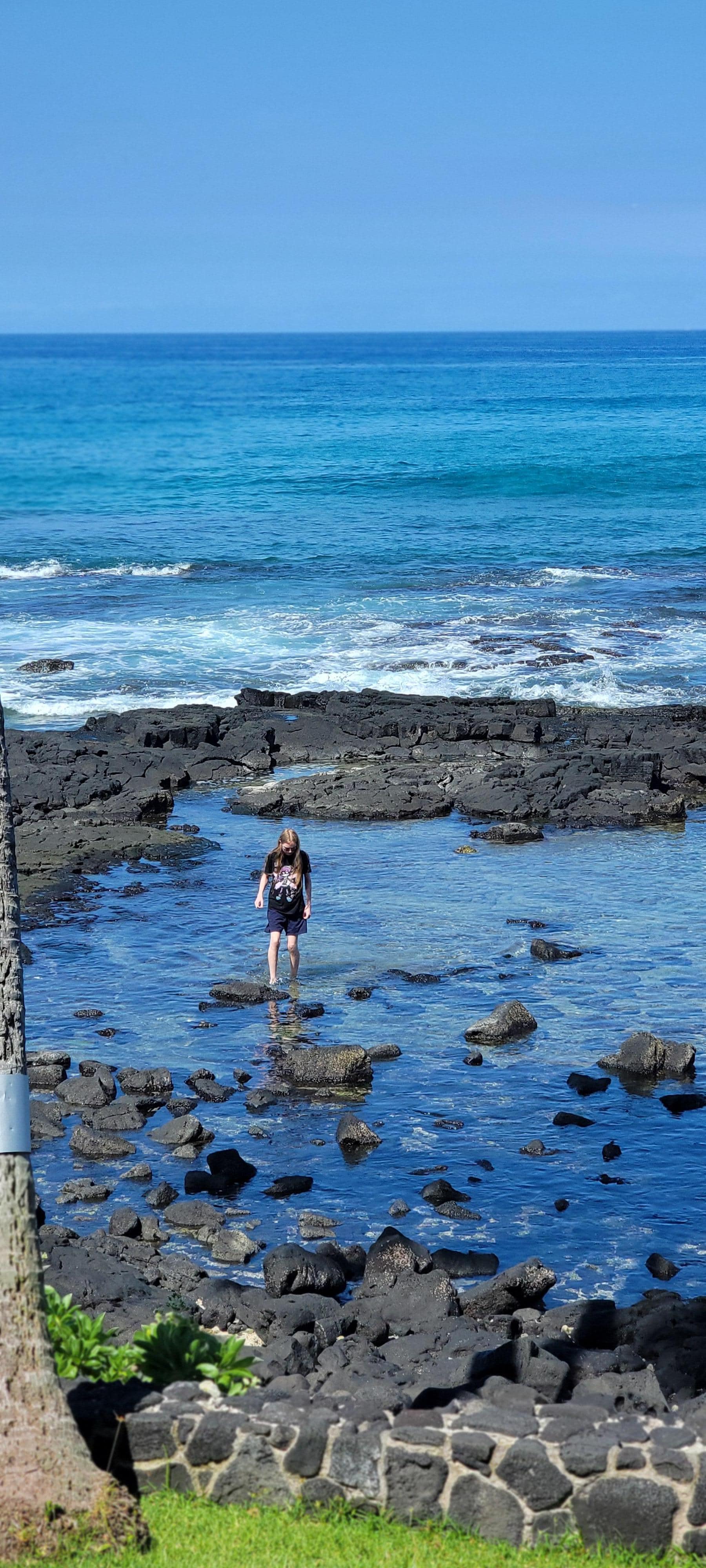 Tide pool right outside our condo. 